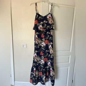 Banana Republic Size 2 Maxi Dress